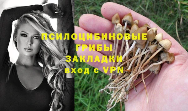 сатива Лиски