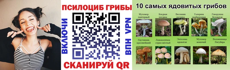 Галлюциногенные грибы прущие грибы  Купить закладки  Луза 