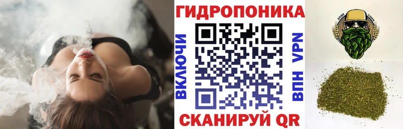 Купить где  Луза  Каннабис гибрид 